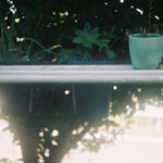 アトリエLeicaで寂しげな鉢