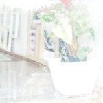 アトリエ観葉植物ハイキーで印象