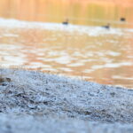 一碧湖ボート側紅葉と芝の霜