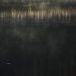 一碧湖沼側遠くの葦と毛嵐印象