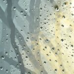 車のフロント雫流れ3