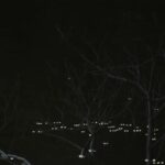 湖ノキラキラ戸枝_一碧湖